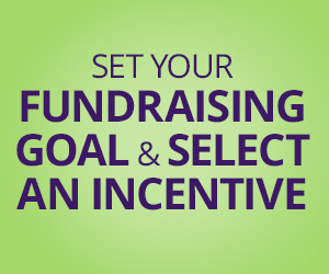 set your fundraising goal button