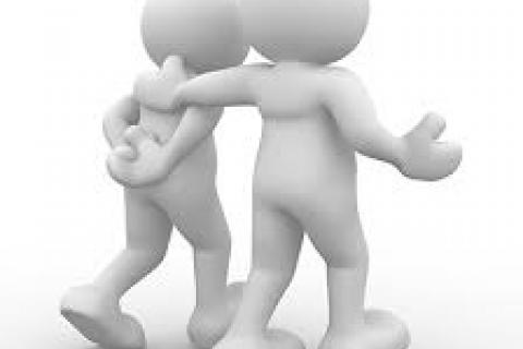 Peer Mentoring and Support