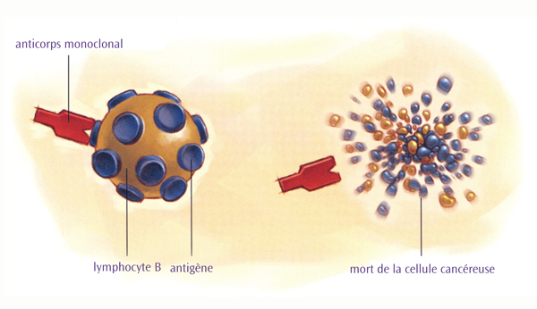 Traitement par anticorps monoclonal