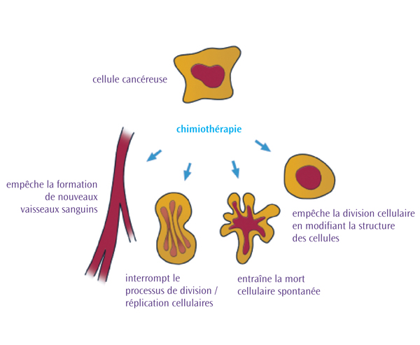 Comment fonctionne la chimiothérapie?