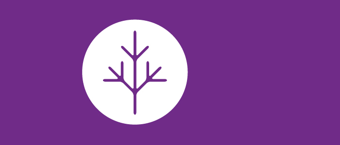 masthead_b_purple_7