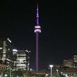 CN Tower lit up purple for WLAD