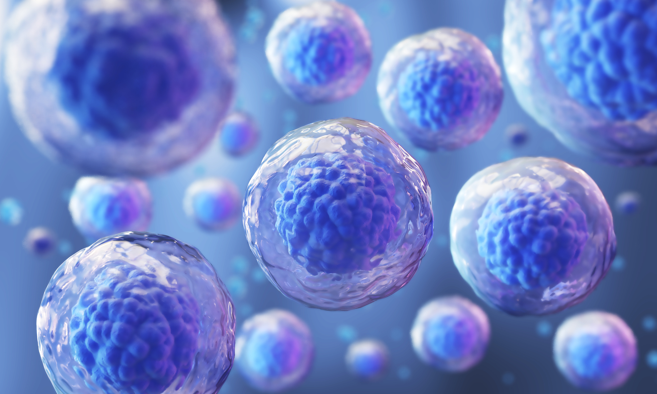 Stem-Cell Transplantation for Lymphoma Patients